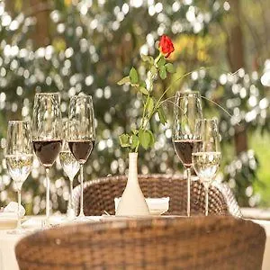 Weltemuehle 4* 德累斯顿